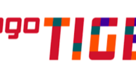 Logo Tiger ERP entegrasyonu yapabilirim