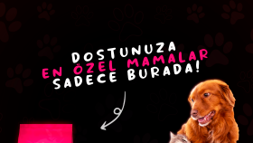 Pet Shop - Sosyal Medya Tasarım