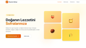 Özel Yazılım ile Geliştirilmiş Web Projeleri