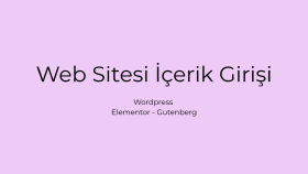 wordpress içerik girişi ve düzenleme yapıyorum