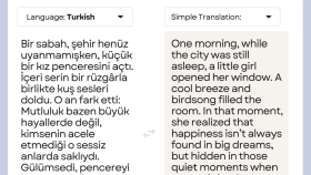 Her Türlü İngilizce-Türkçe Çeviri