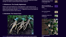 WordPress related posts ve products