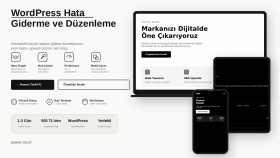 wordpress sitenizdeki hataları giderir ve düzenlerim