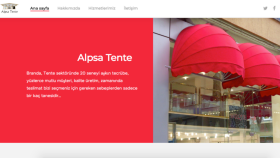 Web sitesi tasarımı