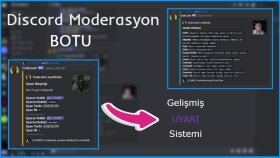 Disord.Py ile istediğiniz özelliklerde botu kodlarım