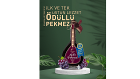 postçu geldi hanım