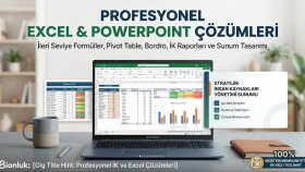 profesyonel Excel tabloları ve sunumları hazırlıyorum