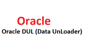 Oracle DUL (Data UnLoader)  veri kurtarma yapabilirim