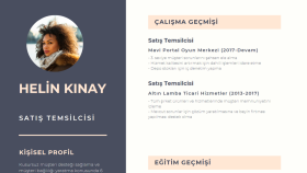 profesyonel cv tasarlıyorum