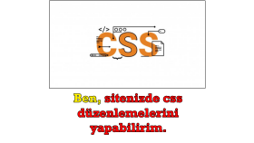 sitenizde css düzenlemelerini yapabilirim
