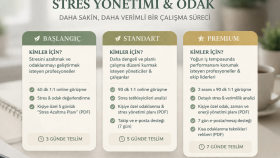 ekip ve bireylerin odak ve performansını artırabilirim