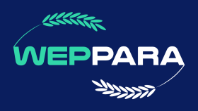 Weppara firmasına yaptığımız logo tasarımı