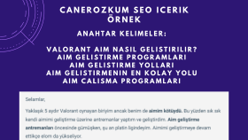 SEO Uyumlu İçerik Çalışması - 5