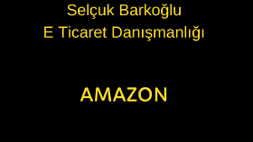 Amazon Amerika hesap yönetimi yapmaktayım