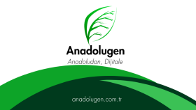 aklınıza gelebilecek her türlü web siteyi sizin için yaparım