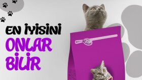 YouTube için modern logo veya banner tasarlarım
