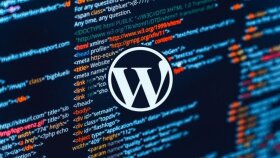 wordpress tema kurulumu, hosting kurulumu yapabilirim