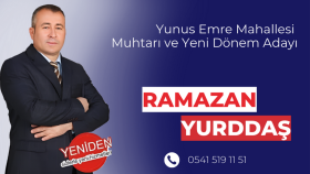 Banner Tasarımı