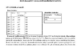 Anket analizleri