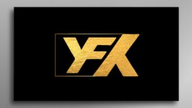 profesyonel logo tasarımı yapabilirim