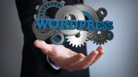 wordpress ile yönetilebilir bir web sitesi yapabilirim
