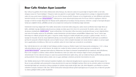 Bear Cafe - Web Sitesi İçeriği (Temel)