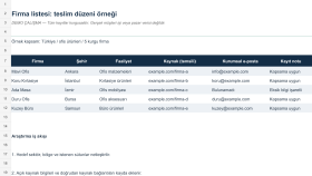 Firma Listesi — Teslim Tablosu Demo