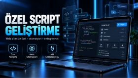 web sitenize özel script ve otomasyon geliştirebilirim