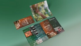 Broşür, Katalog Tasarımı