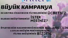 Sosyal Medya