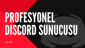 profesyonel discord sunucusu kurarım