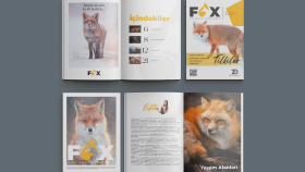 katalog broşür ve dergi tasarımı yapıyorum