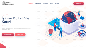 Web Sitesi Kurulum