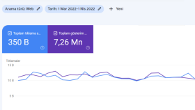 350k Organik Ziyaretçi