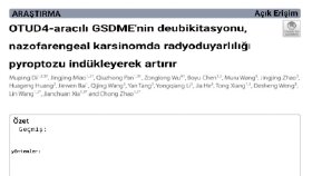 Çeviri
