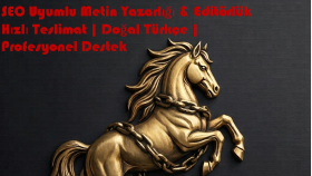 e-ticaret mağaza desteği ve müşteri destek hizmeti veriyorum