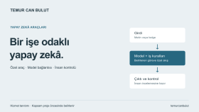 iş akışınıza özel yapay zekâ araçları geliştiririm