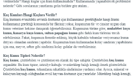 İş örneğim