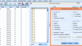  SPSS ve AMOS veri analizi yapıyorum