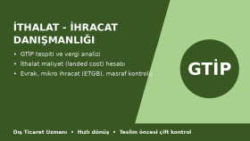 ithalat, ihracat ve gümrük maliyeti danışmanlığı veririm