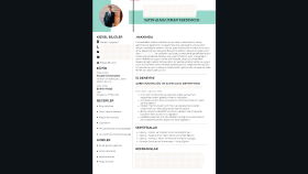 Gerçek Cv Tasarımı