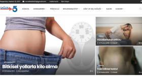Saglik5.com wordpress site yapımı