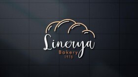 Kurumsal Logo Tasarımı