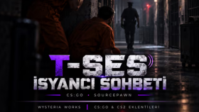 T-Ses - İsyancı Telsiz Sistemi