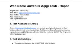 Örnek Siber İstihbarat Raporu