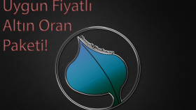 özgün logo tasarımı yapabilirim
