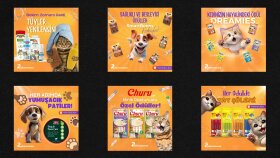 Petshop Sosyal Medya Tasarımı