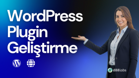 wordpress plugin yazabilirim