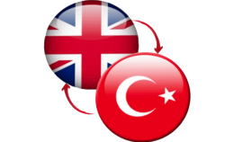 ingilizce türkçe çeviri yaparım