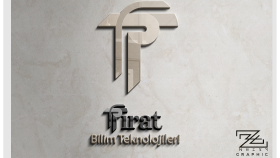 kurumsal özgün ve size özel logo tasarlarım